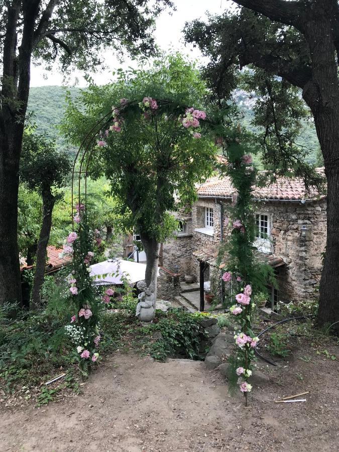 L'abri la Vall Bed and Breakfast Sorède Exterior foto